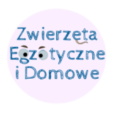 👍Witaj, przybyszu!