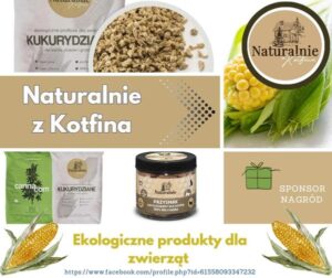 Sponsorzy & Współpraca