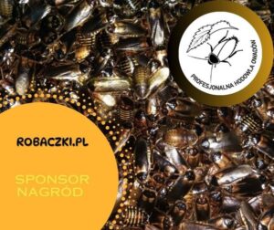 Sponsorzy & Współpraca