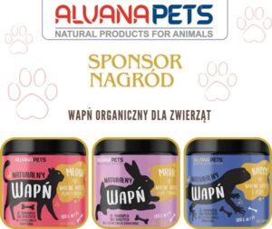 Sponsorzy & Współpraca