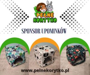 Sponsorzy & Współpraca