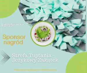 Sponsorzy & Współpraca