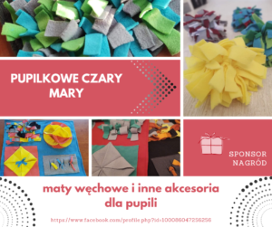 Sponsorzy & Współpraca