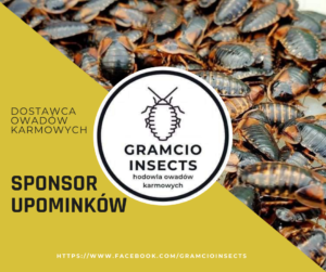 Sponsorzy & Współpraca