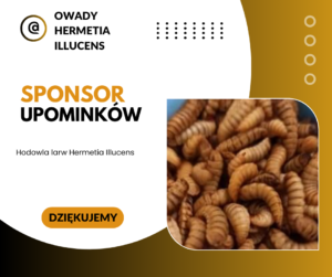 Sponsorzy & Współpraca