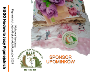 Sponsorzy & Współpraca