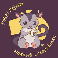 Sponsorzy & Współpraca