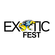 Sponsorzy & Współpraca