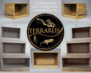 Sponsorzy & Współpraca