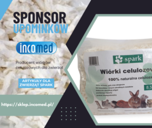 Sponsorzy & Współpraca